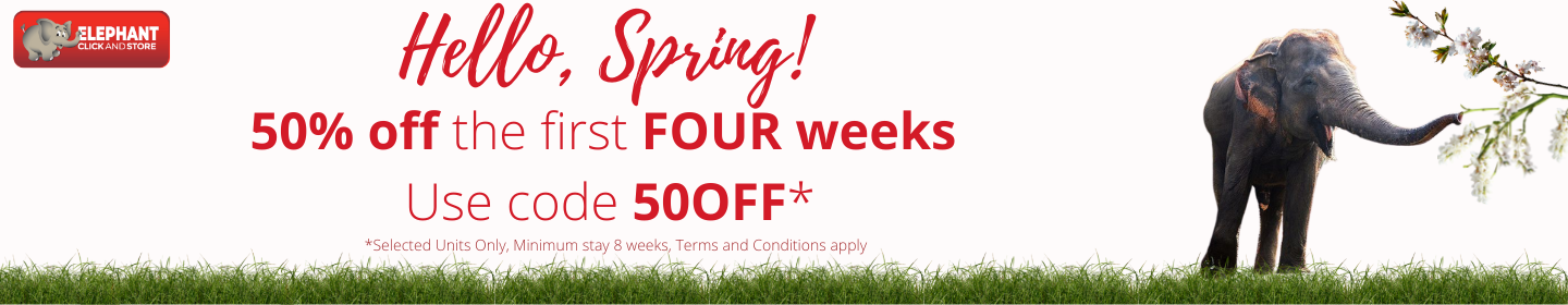 Spring Discount 50OFF